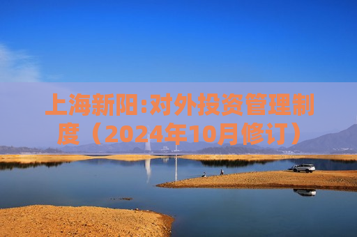 上海新阳:对外投资管理制度（2024年10月修订）  第1张