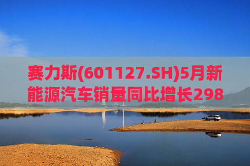 赛力斯(601127.SH)5月新能源汽车销量同比增长298.62%  第1张