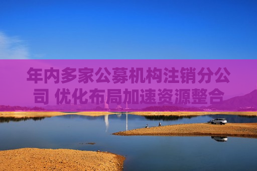 年内多家公募机构注销分公司 优化布局加速资源整合  第1张