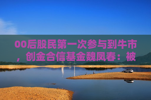 00后股民之一次参与到牛市，创金合信基金魏凤春：被套对年轻人长期投资生涯是有利的