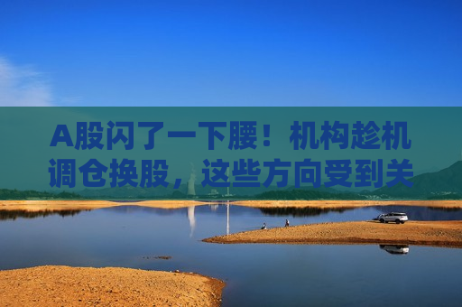 A股闪了一下腰！机构趁机调仓换股，这些方向受到关注  第1张