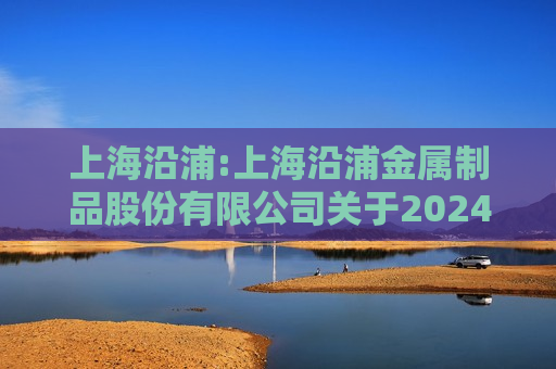 上海沿浦:上海沿浦金属制品股份有限公司关于2024年度“提质增效重回报”行动方案的公告  第1张