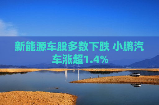新能源车股多数下跌 小鹏汽车涨超1.4%