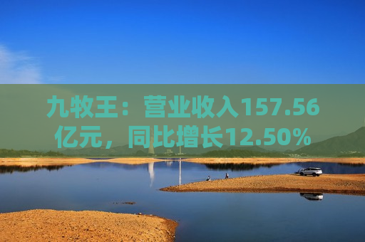 九牧王：营业收入157.56亿元，同比增长12.50%  第1张