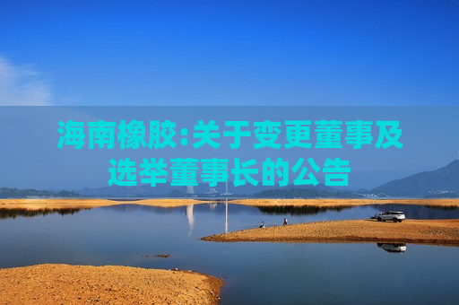 海南橡胶:关于变更董事及选举董事长的公告