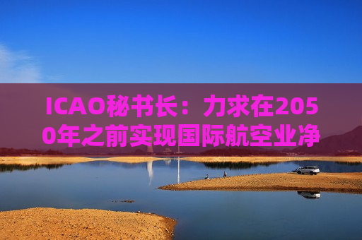 ICAO秘书长：力求在2050年之前实现国际航空业净零碳排放
