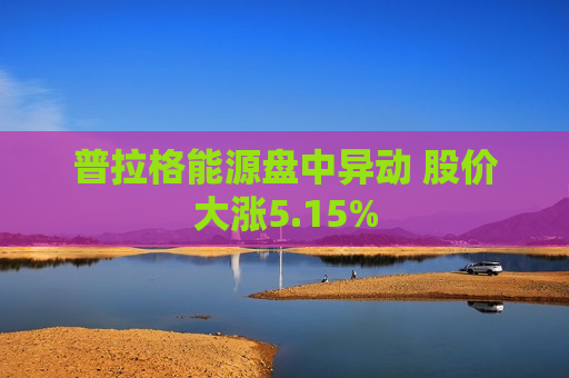 普拉格能源盘中异动 股价大涨5.15%
