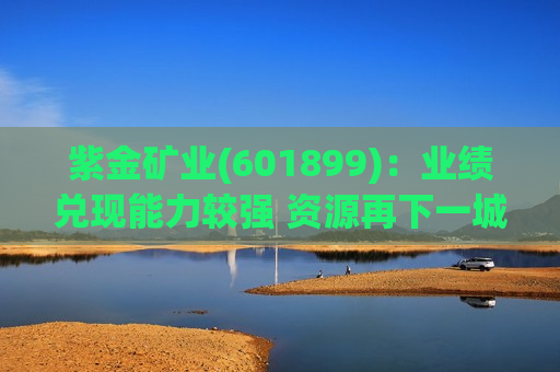 紫金矿业(601899)：业绩兑现能力较强 资源再下一城  第1张