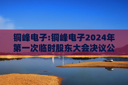 铜峰电子:铜峰电子2024年之一次临时股东大会决议公告  第1张