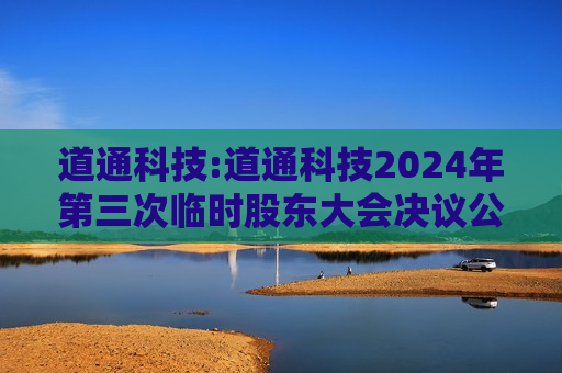 道通科技:道通科技2024年第三次临时股东大会决议公告
