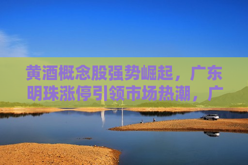 黄酒概念股强势崛起，广东明珠涨停引领市场热潮，广东明珠引领黄酒概念股强势崛起，市场热潮涌动，广东明珠引领黄酒概念股强势崛起，市场热潮涌动