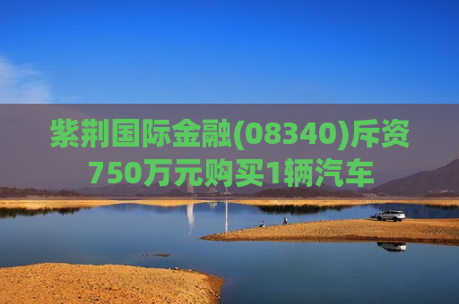 紫荆国际金融(08340)斥资750万元购买1辆汽车  第1张