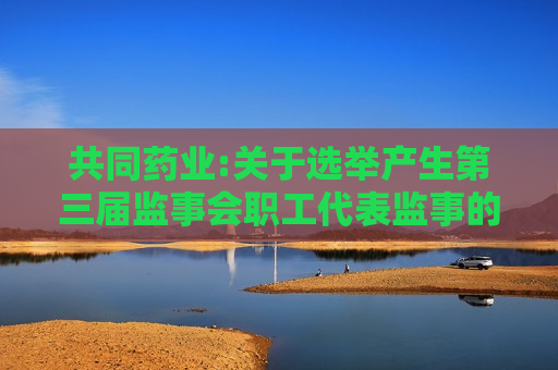 共同药业:关于选举产生第三届监事会职工代表监事的公告