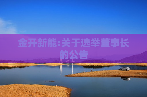 金开新能:关于选举董事长的公告