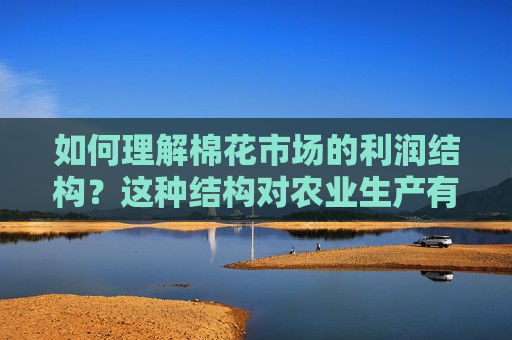 如何理解棉花市场的利润结构？这种结构对农业生产有何影响？