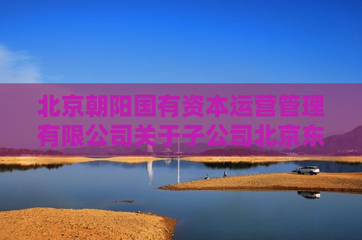 北京朝阳国有资本运营管理有限公司关于子公司北京东方园林环境股份有限公司收到北京证监局警示函的公告