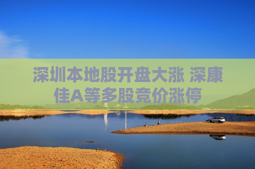深圳本地股开盘大涨 深康佳A等多股竞价涨停  第1张