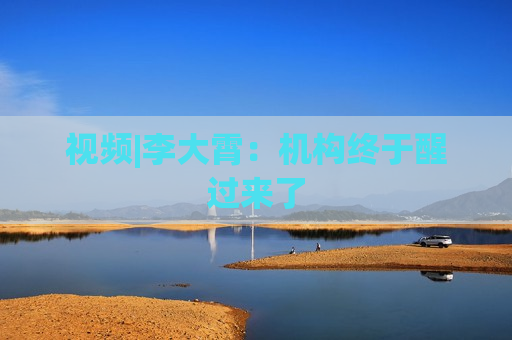 视频|李大霄：机构终于醒过来了