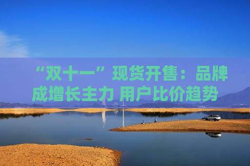 “双十一”现货开售：品牌成增长主力 用户比价趋势明显