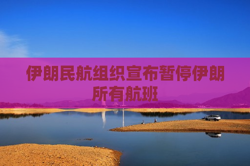 伊朗民航组织宣布暂停伊朗所有航班  第1张
