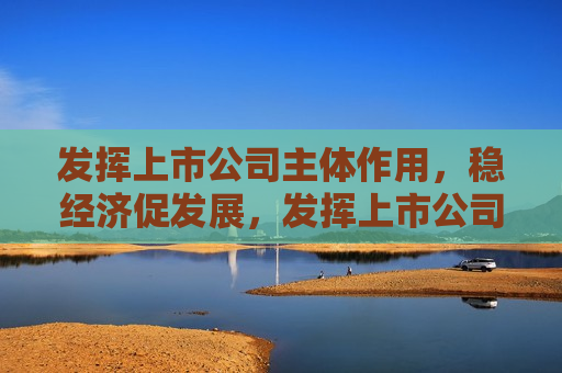 发挥上市公司主体作用，稳经济促发展，发挥上市公司主体作用，助力经济稳定发展，发挥上市公司主体作用，助力经济稳定发展