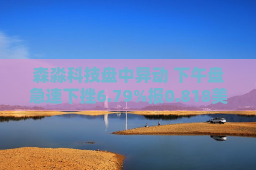 森淼科技盘中异动 下午盘急速下挫6.79%报0.818美元  第1张