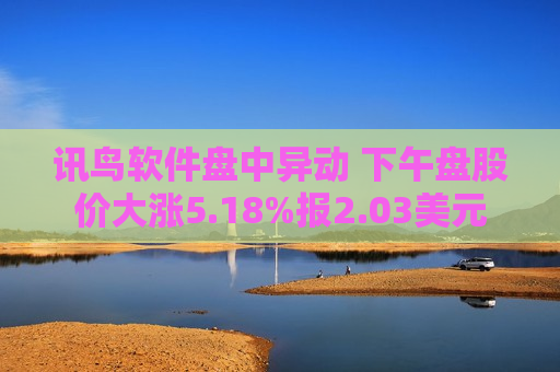 讯鸟软件盘中异动 下午盘股价大涨5.18%报2.03美元