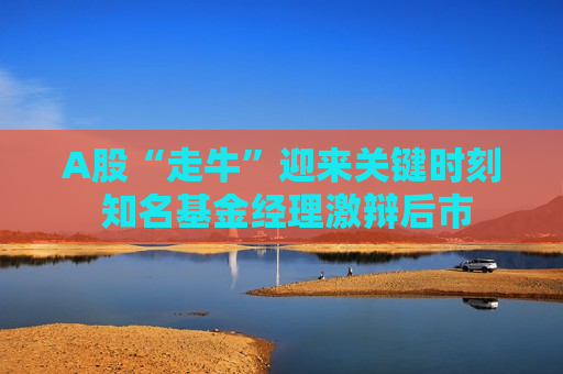 A股“走牛”迎来关键时刻 知名基金经理激辩后市