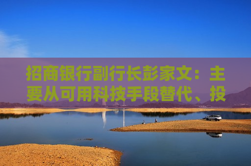 招商银行副行长彭家文：主要从可用科技手段替代、投入产出低的领域降成本
