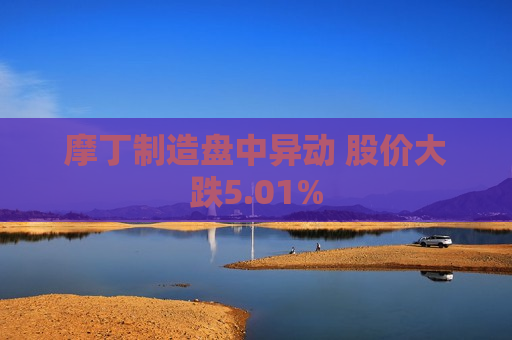 摩丁制造盘中异动 股价大跌5.01%  第1张