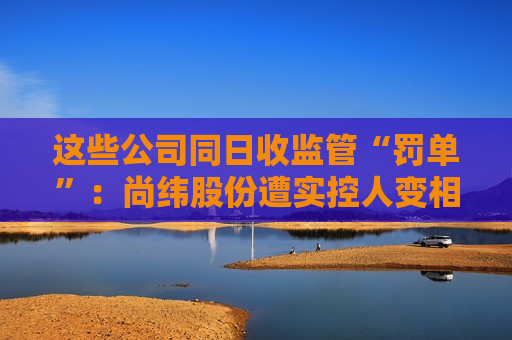 这些公司同日收监管“罚单”：尚纬股份遭实控人变相占用，国华网安、ST特信内控不到位  第1张