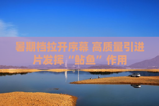 暑期档拉开序幕 高质量引进片发挥“鲇鱼”作用  第1张