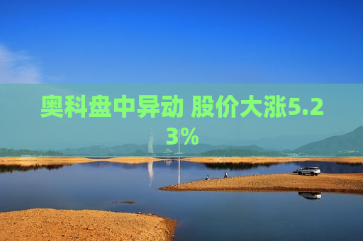 奥科盘中异动 股价大涨5.23%  第1张
