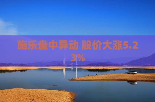 施乐盘中异动 股价大涨5.23%  第1张