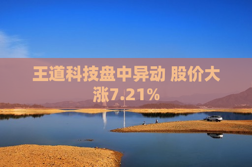 王道科技盘中异动 股价大涨7.21%  第1张