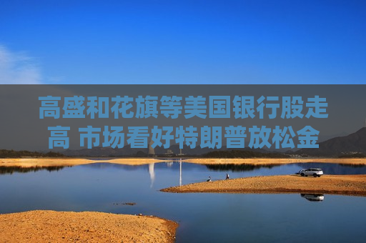 高盛和花旗等美国银行股走高 市场看好特朗普放松金融监管  第1张
