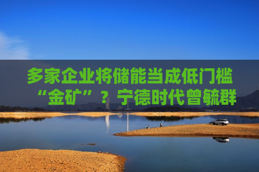 多家企业将储能当成低门槛“金矿”？宁德时代曾毓群发声  第1张