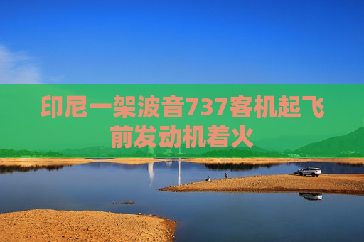 印尼一架波音737客机起飞前发动机着火