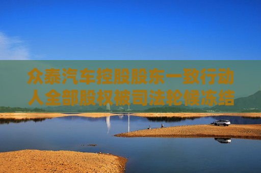 众泰汽车控股股东一致行动人全部股权被司 *** 候冻结