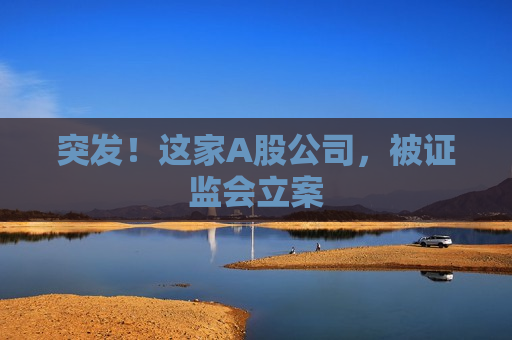 突发！这家A股公司，被 *** 立案  第1张