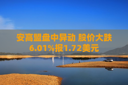 安高盟盘中异动 股价大跌6.01%报1.72美元  第1张