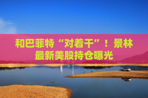 和巴菲特“对着干”！景林最新美股持仓曝光