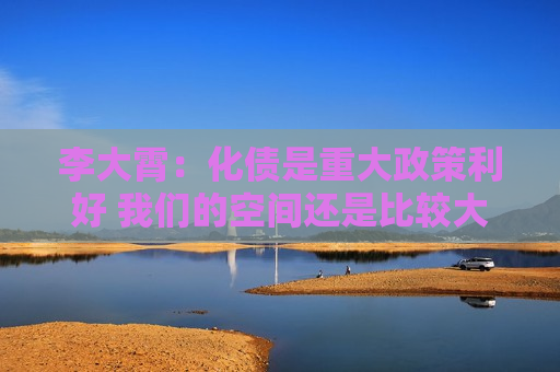 李大霄：化债是重大政策利好 我们的空间还是比较大的  第1张