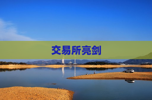 交易所亮剑