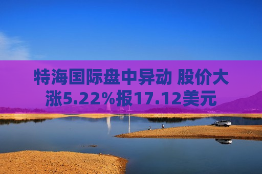 特海国际盘中异动 股价大涨5.22%报17.12美元  第1张