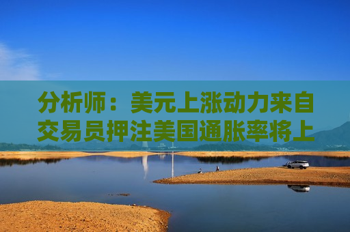 分析师：美元上涨动力来自交易员押注美国通胀率将上升