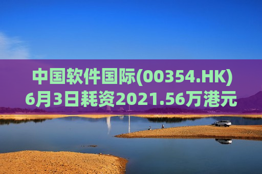 中国软件国际(00354.HK)6月3日耗资2021.56万港元回购500万股