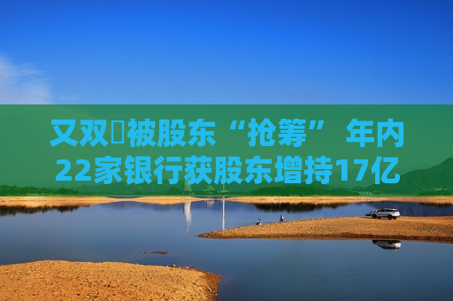 又双叒被股东“抢筹” 年内22家银行获股东增持17亿股  第1张