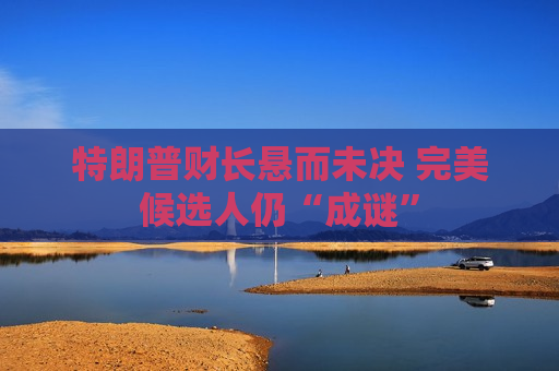 特朗普财长悬而未决 完美候选人仍“成谜”  第1张