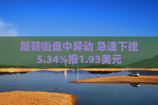 蘑菇街盘中异动 急速下挫5.34%报1.93美元